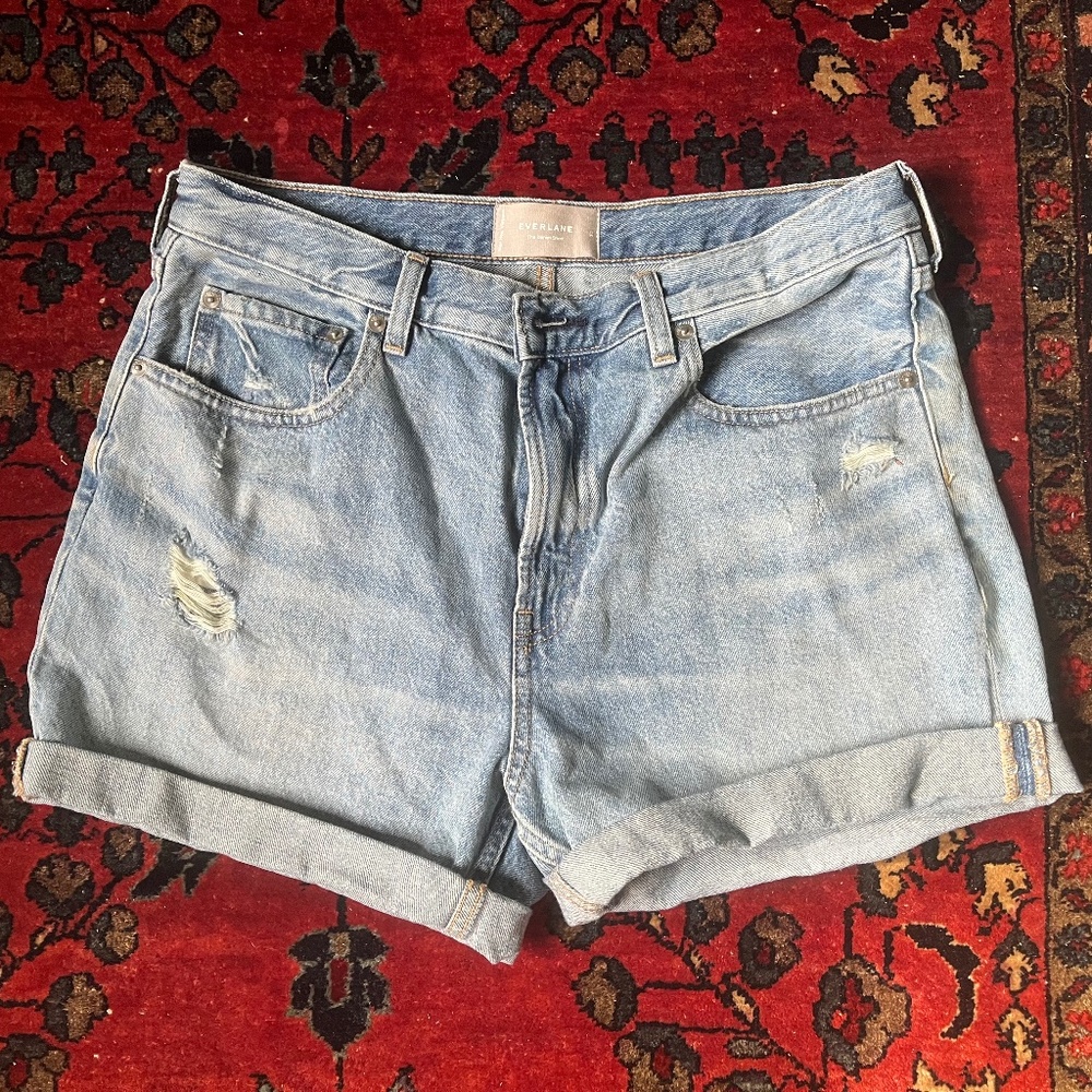 Everlane denim shorts NWOT